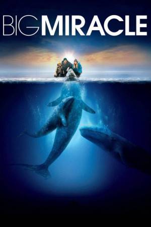 فيلم Big Miracle 2012 مترجم HD
