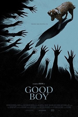 فيلم Good Boy 2025 مترجم HD