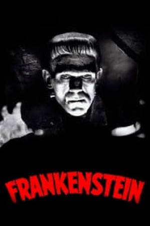 فيلم Frankenstein 1931 مترجم HD